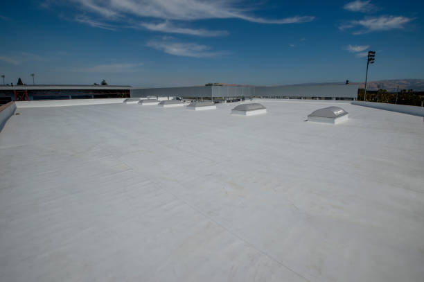 Best Solar Panel Roofing Installation  in Fredericksburg, IA